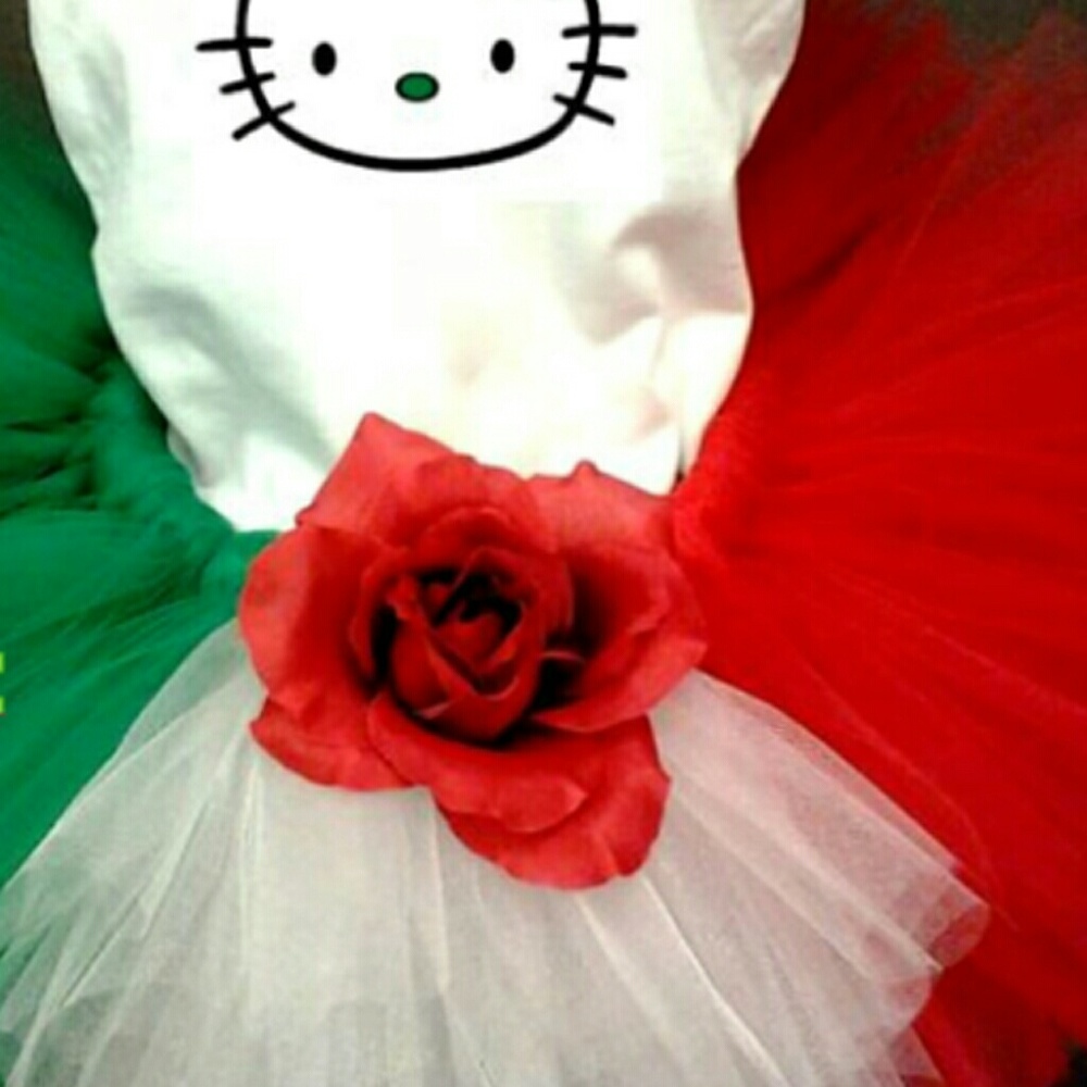 Customized tutus - Picture 3 of 3
